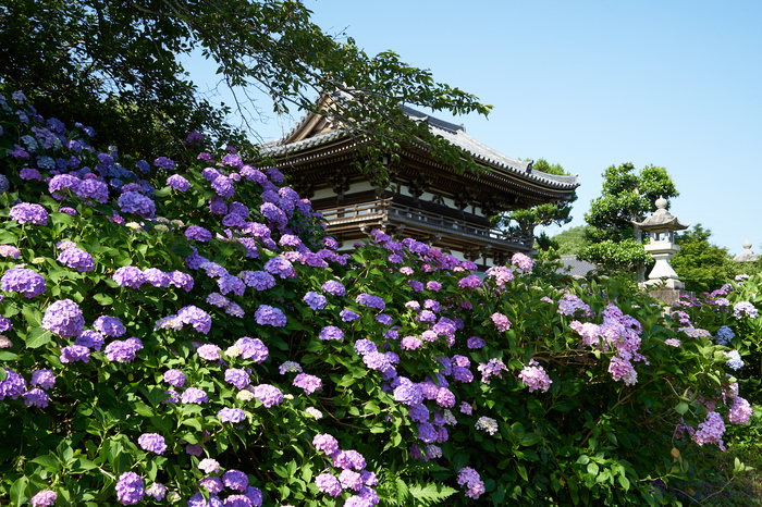 お写ん歩: TAMRON 28-200mm F/2.8-5.6 Di III RXD Model A071 お写ん歩: TAMRON 28-200mm F/2.8-5.6 Di III RXD Model A071